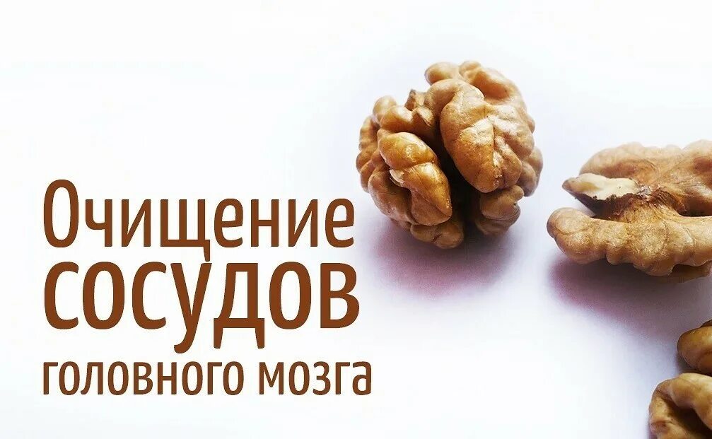 препараты для очищения сосудов головного мозга. домашнее средство для чистки сосудов. рецепт амосова для сосудов головного мозга. народный метод очистки сосудов. продукты для очищения сосудов головного мозга.