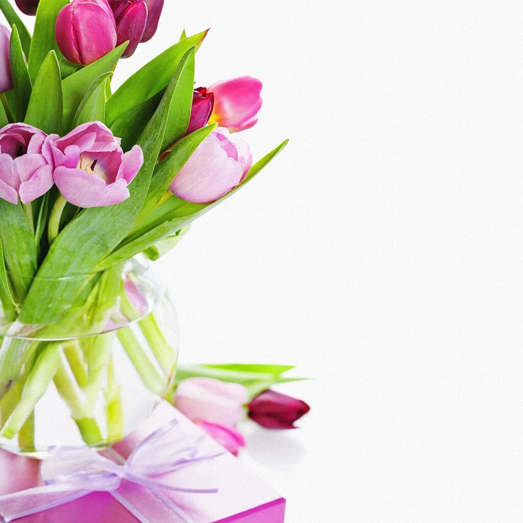 В рамках международного женского дня. Тюльпаны открытка. С 8 мартом тюльпаны.
