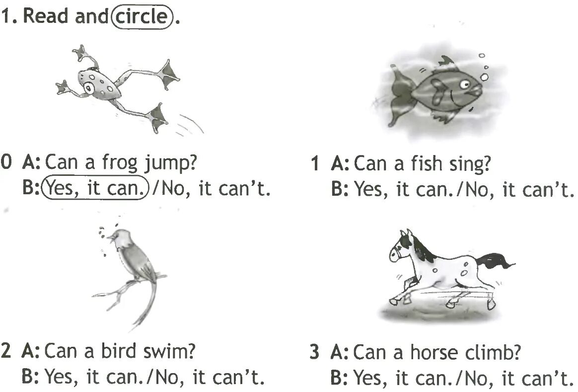 A horse can sing. Задания на can. Can задания для 2 класса. Задания Spotlight 2 класс. Задания на отработку can.