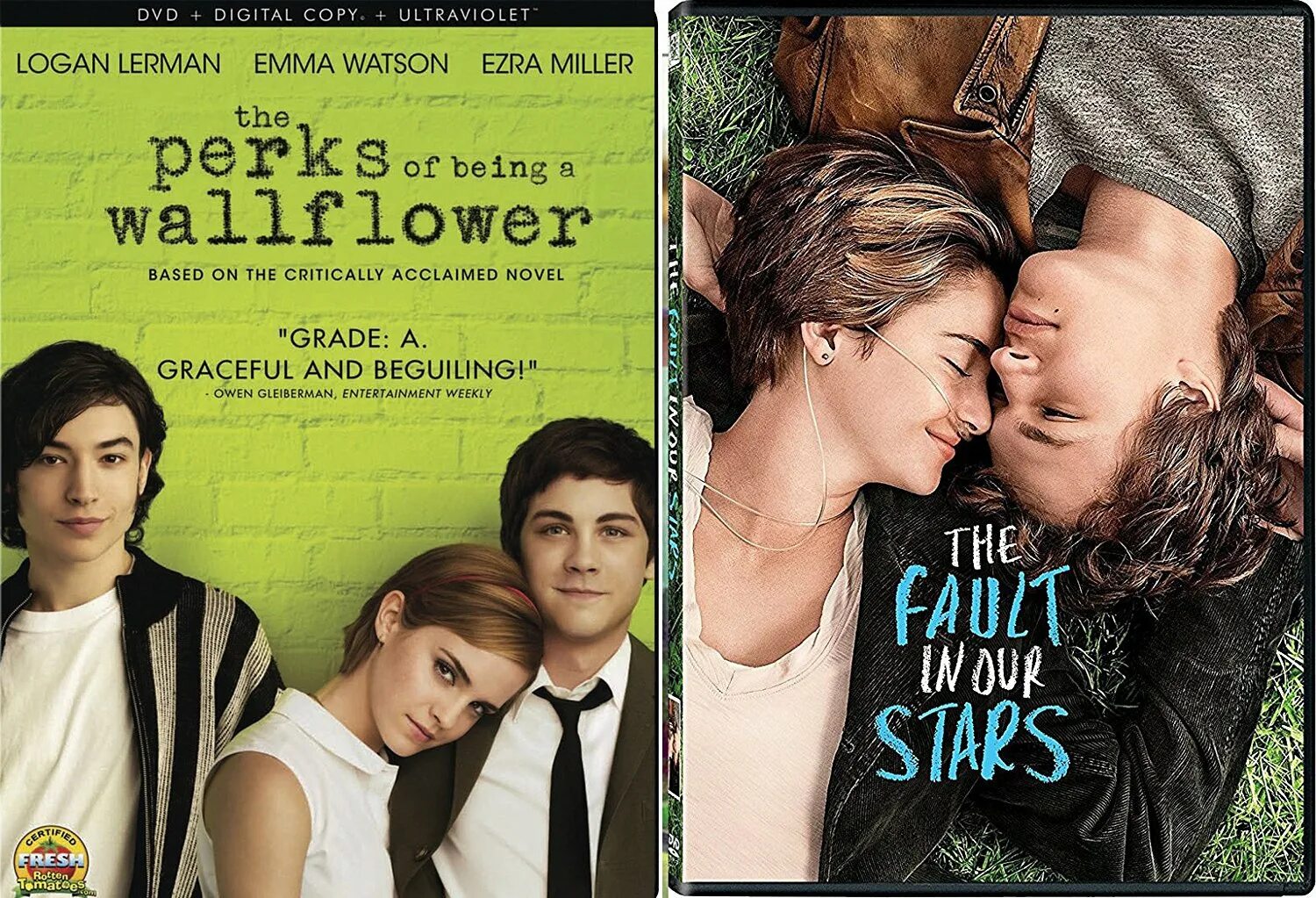 The perks of being a wallflower book. Wallflower перевод. The perks of being a wallflower emily. Wallflower идиома. Wallflower идиома.