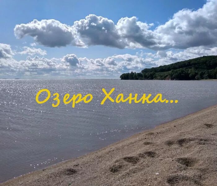 Бассейн озера ханка. Озеро ханка Новокачалинск. Озеро ханка вид сверху. Озеро ханка фото. Озеро ханка глубина.