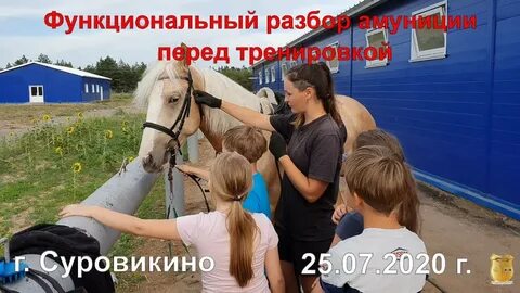 Конный клуб суровикино