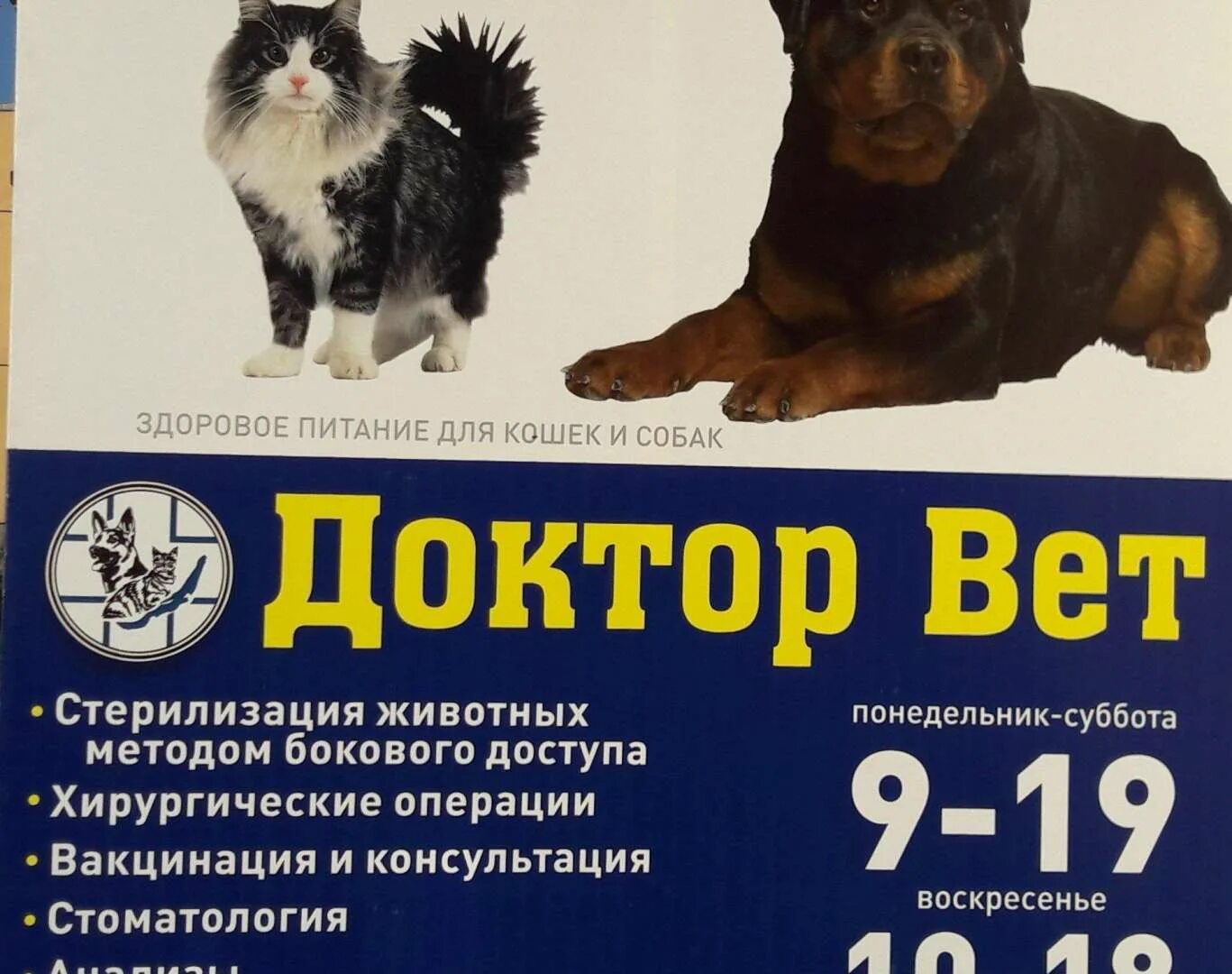 Панорама: Доктор Вет, ветеринарная аптека, ул. Петра Глебки, 5, Минск - Яндекс К
