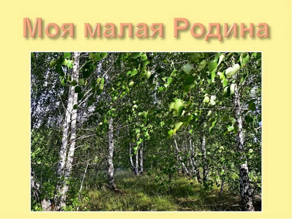 Родина завтра. Моя малая Родина. Моя малая Родина картинки. Твоя малая Родина. Моя большая и малая Родина.