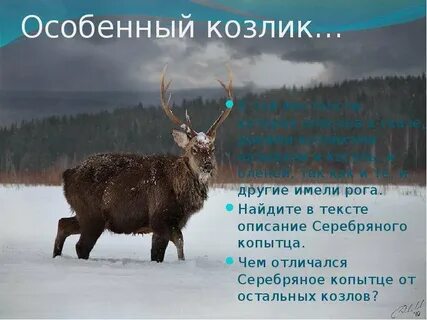 Серебряное копытце описание
