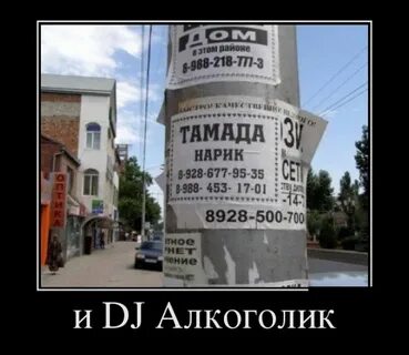 Приколы ведет