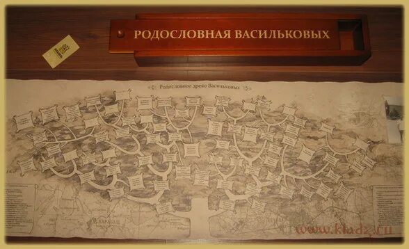 Генеалогическое агентство. Свиток родословная. Семейное древо пастернака. Генеалогическое бюро кладезь челябинск. Генеалогическое агентство.
