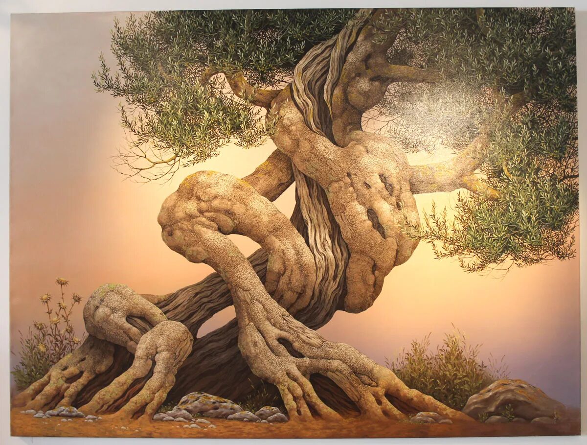 Мужики на шашлыках. Жаркий парень анекдот. Дерево в форме человека. Парень отжарил святое дерево читать. Анекдот про черта и три желания.