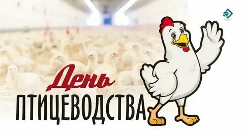 День птицеводства