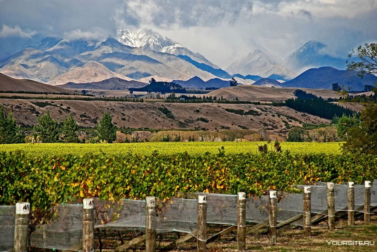 Промышленность новой зеландии. Виноградники Мальборо новая Зеландия. Марлборо (Marlborough, новая Зеландия) виноградники. Долина Мальборо новая Зеландия. Новая Зеландия Мальборо виноградники Совиньон Блан.