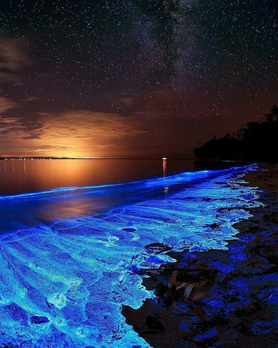 Картинка свет и вода. Остров ваадху мальдивы. noctiluca scintillans. ночесветка noctiluca. noctiluca miliaris.