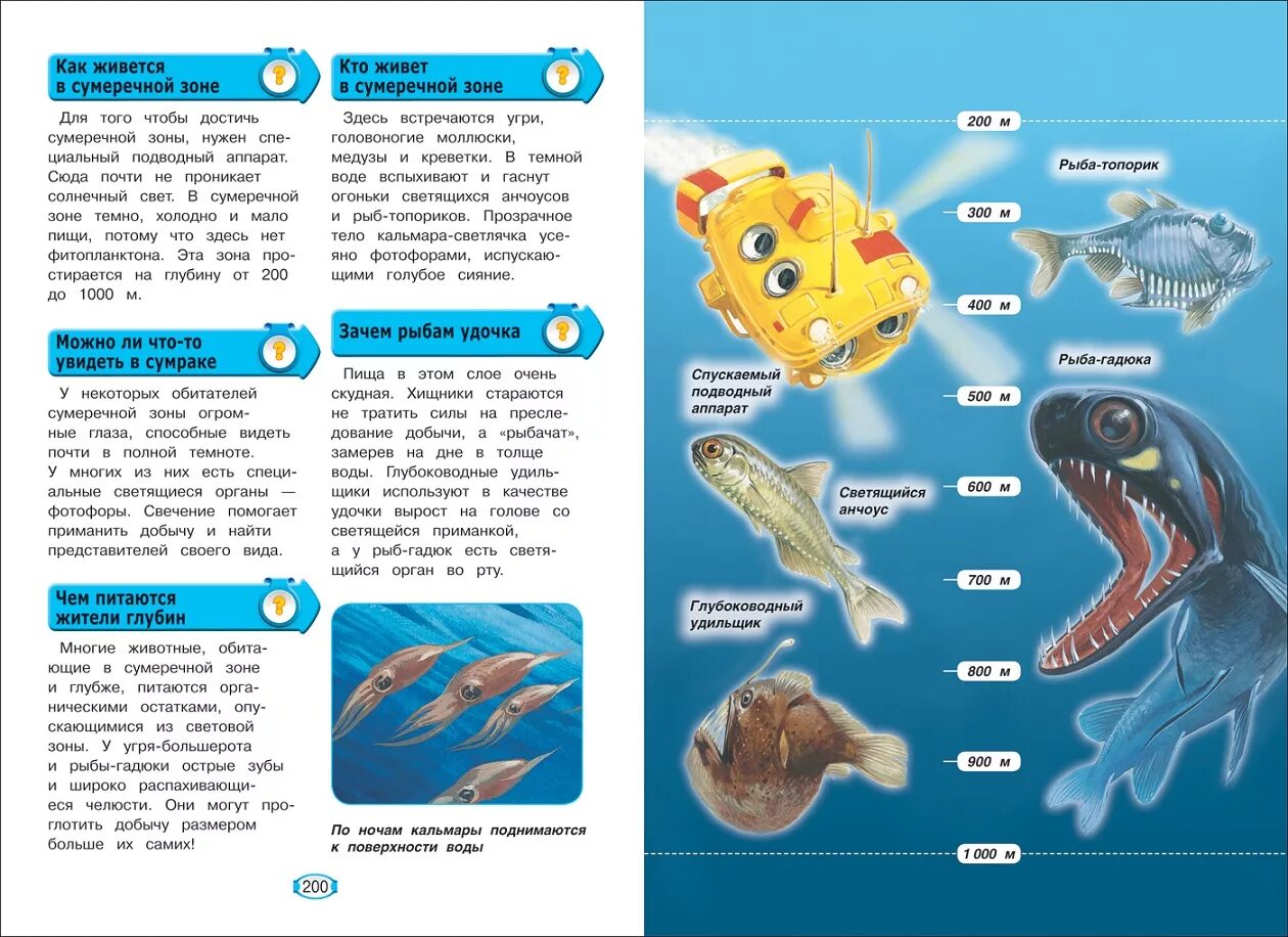 Почему рыбы живут в воде. Обитатели Сумеречной зоны океана. Детская энциклопедия Росмэн Москва. Кто обитает в Сумеречной зоне. Занимательная энциклопедия.