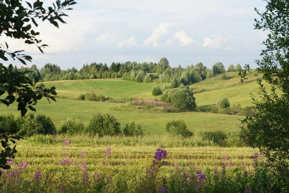 Родина картинки. Родина природа. Природа нашей Родины. Родина Россия. Природа моей Родины.