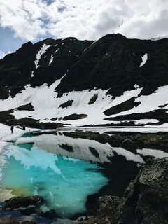 Паратунка камчатка