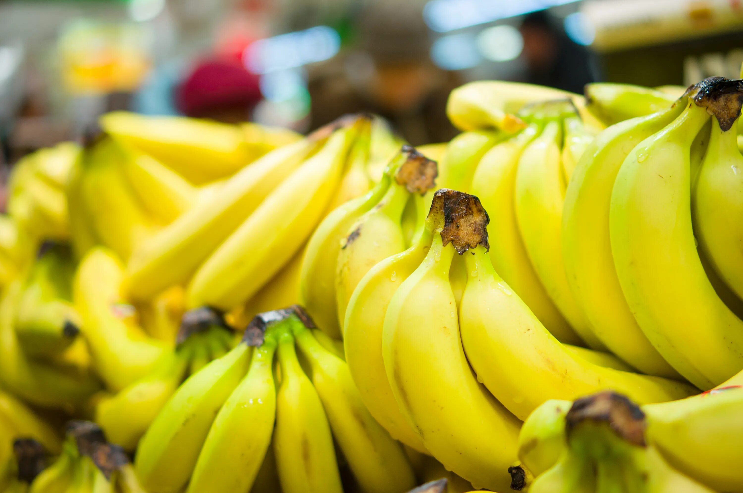 Банан. Плод банана. Банан фото. Десертный банан.