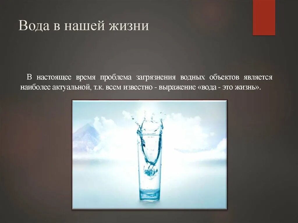 Вода равно жизнь. Вода в нашей жизни. выражение «вода равно жизнь.