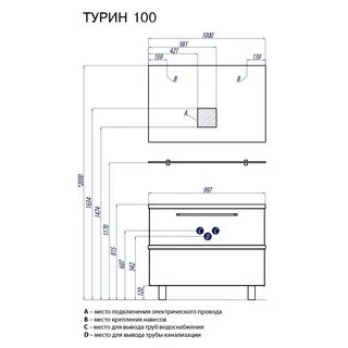 Турин 100