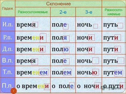 Человек род склонение