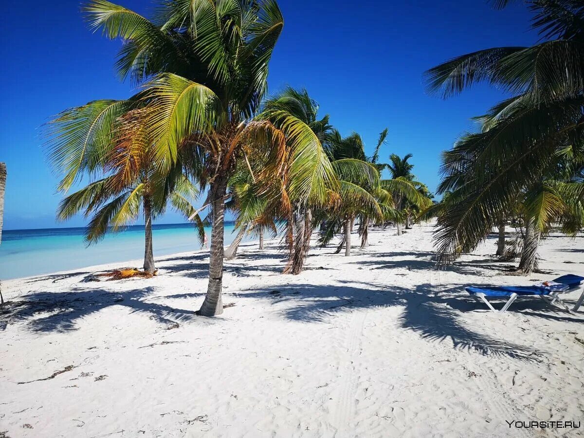 Wedding on the beach of a fairytale island, Batey La Altagracia, Dominican Repub