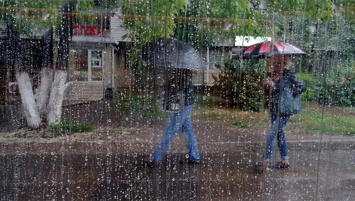Дождливый день. Дождь в мае. Весенний ливень. Дождик в мае.
