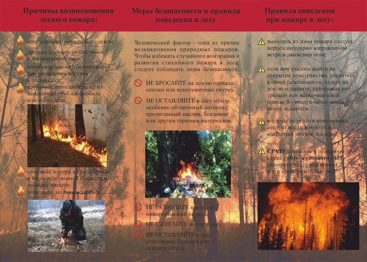 Противопожарные плакаты в лесу. Плакат берегите лес от пожара. Берегите лес от пожара памятка для родителей. Охрана лесов от пожаров. Памятка по профилактике пожаров в лесу.
