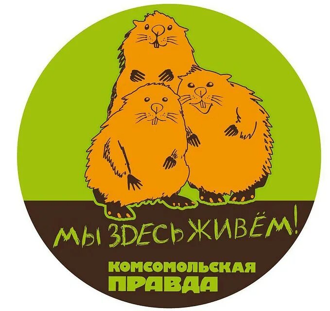 кафе три бобра бобров. бобры фото. европейский речной бобр. три бобра. три бобра ресторан.