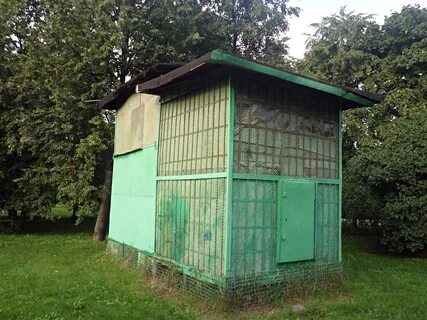 Какую голубятни