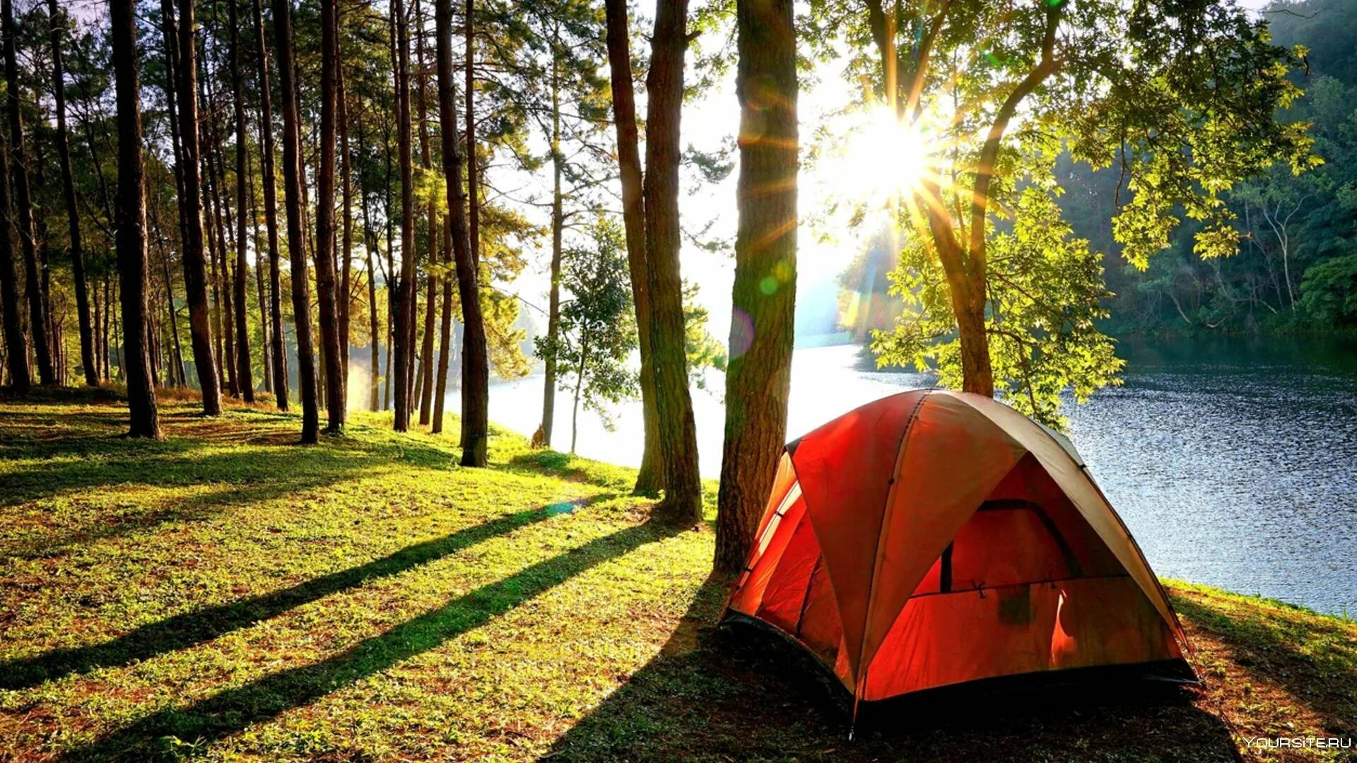 Camping photo. Торбеево озеро палаточный лагерь. Палаточный кемпинг Истра. Истринское водохранилище кемпинг с палатками. Истра кемпинг с палатками.