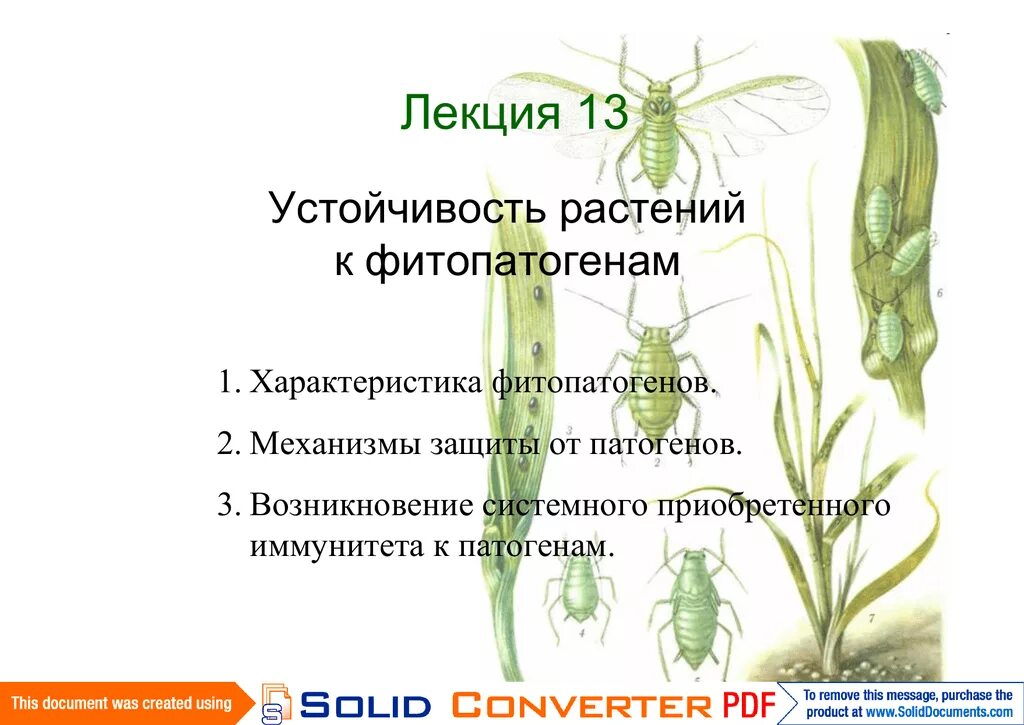 Повышение устойчивости растений. Повышение устойчивости растений