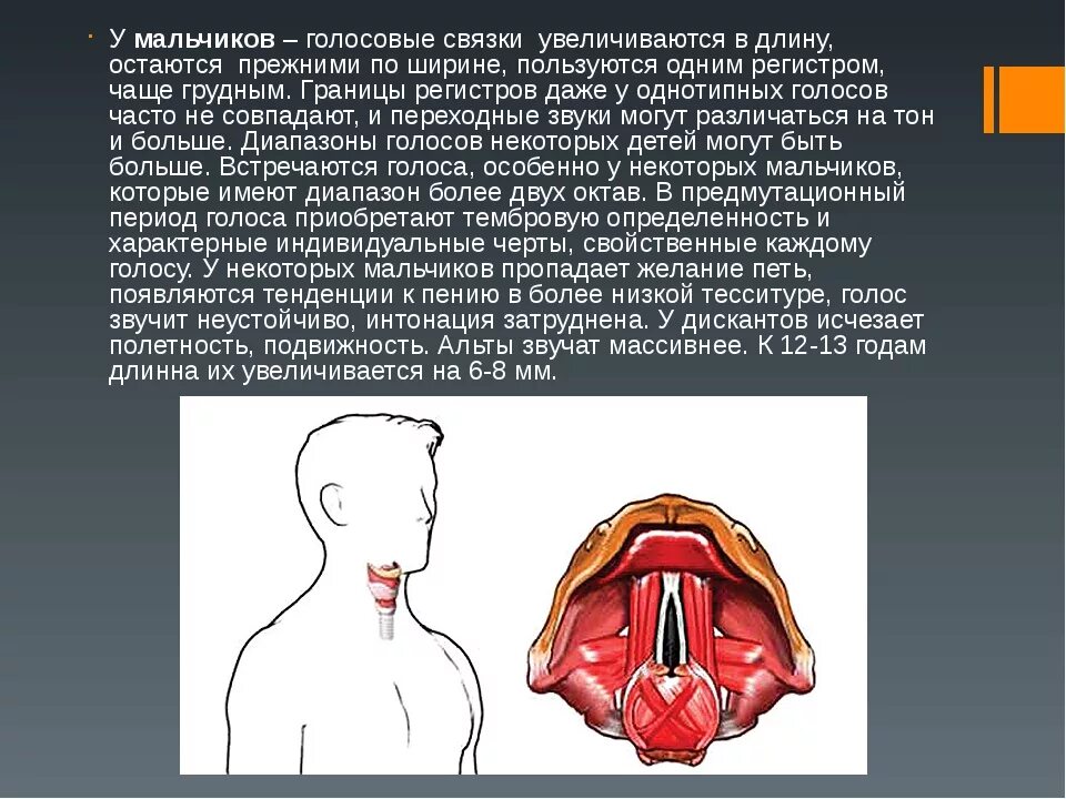 Лечение голосовых связок. Заболевания голосового аппарата. Голосовые связки мальчиков. Симптомы мутации голоса.