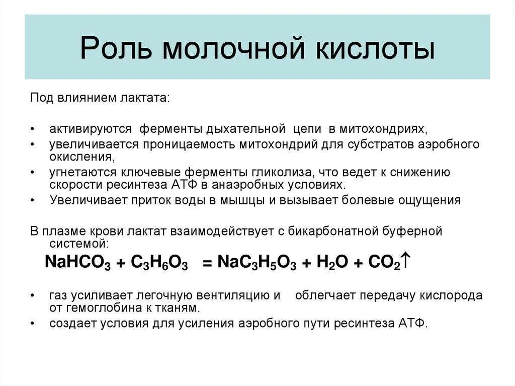 Какая кислота образуется в мышцах. Молочная кислота биологическая роль. функции молочной кислоты. дальнейшее использование молочной кислоты. источники и пути использования молочной кислоты.