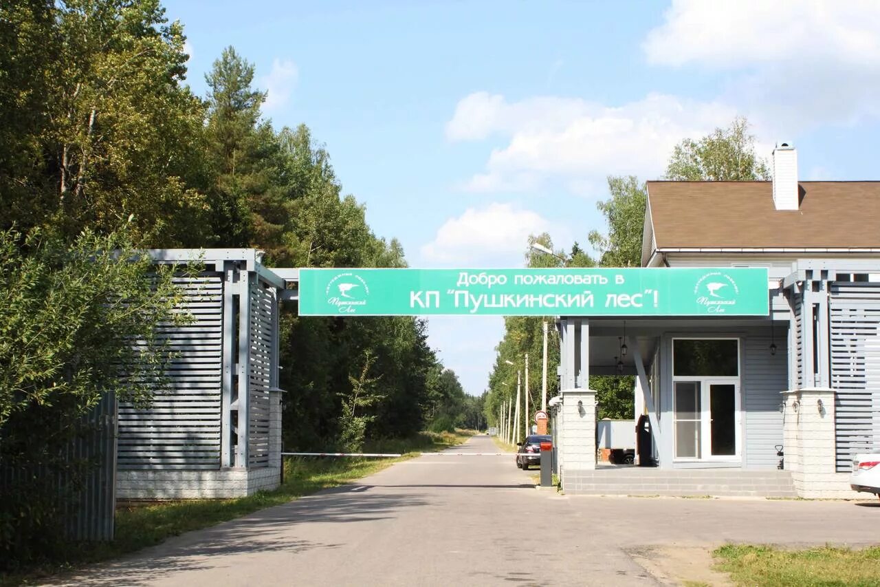 Кп "пушкинский лес" могильцы. Кп пушкинский лес омский район. Посёлок лесной пушкинский район. Пушкинский лес участки. Пушкинский лес омск.