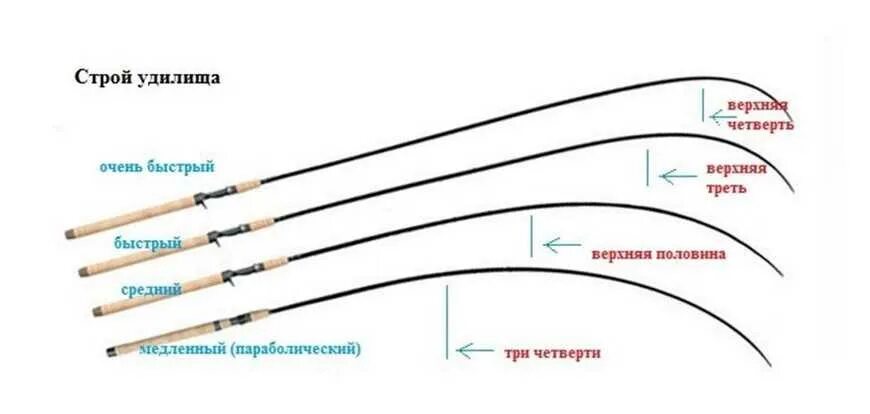 Что такое тест удилища