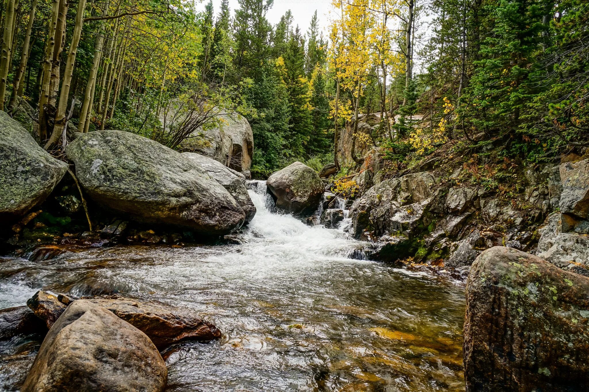 Stone river. Речка Каширка камни. Лес река камни. Камни валуны берег река ручей. Горный ручей.