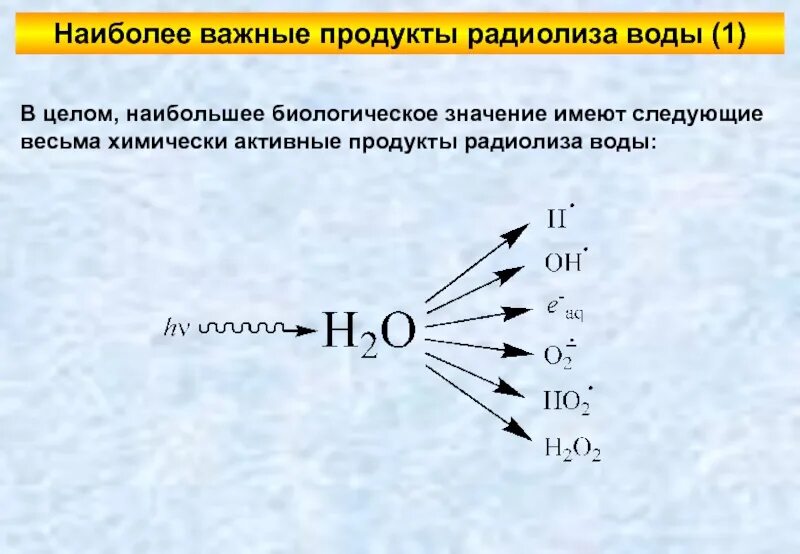 Радиационно химические реакции радиолиз воды. Радиолиз воды механизм. Радиолиз воды схема. Продукты радиолиза воды. Радикал аммиака