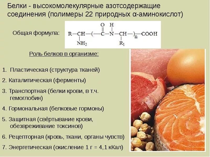 Белки в организме. Роль белков в организме человека. Роль бедков в организм. Содержание беловоа в организме. Пояснить главную функцию белков