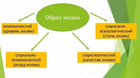 Социально экономический уровень качества