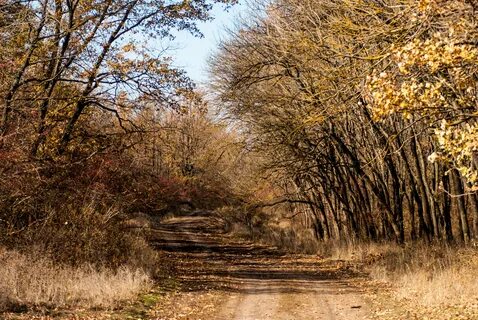 Ростовская область осенью