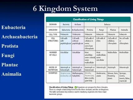 Classification system