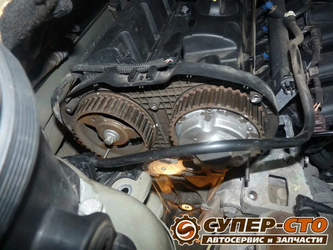 Ремень грм пежо 407. Пежо 407 грм. 0 407 грм. Пежо 407 ремень грм дизель. Peugeot 407 ремень грм.