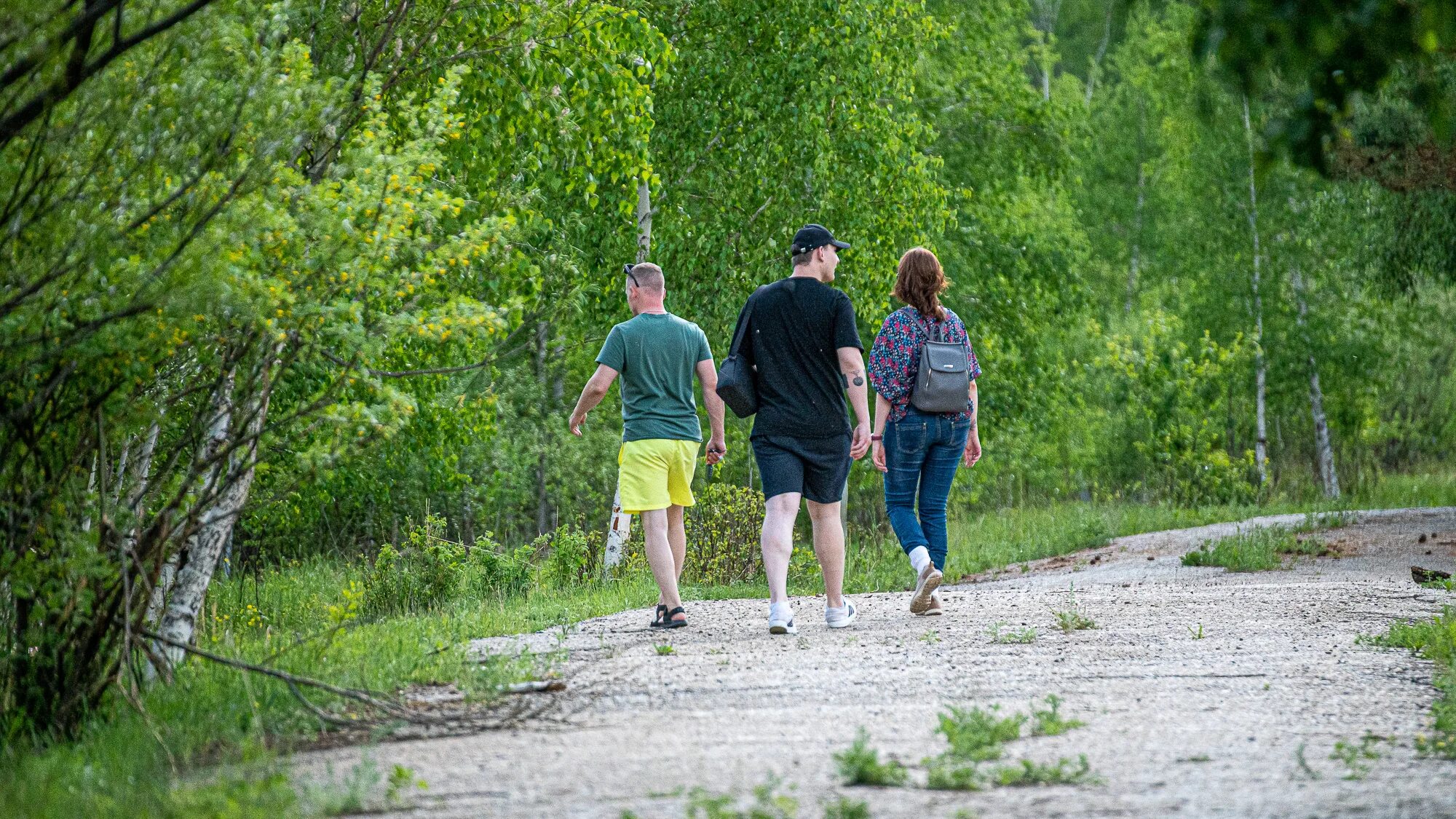 Люди отдыхают в лесу. Молодежь в лесу. Загородная дорога. Компания в лесу. 11 июня 21