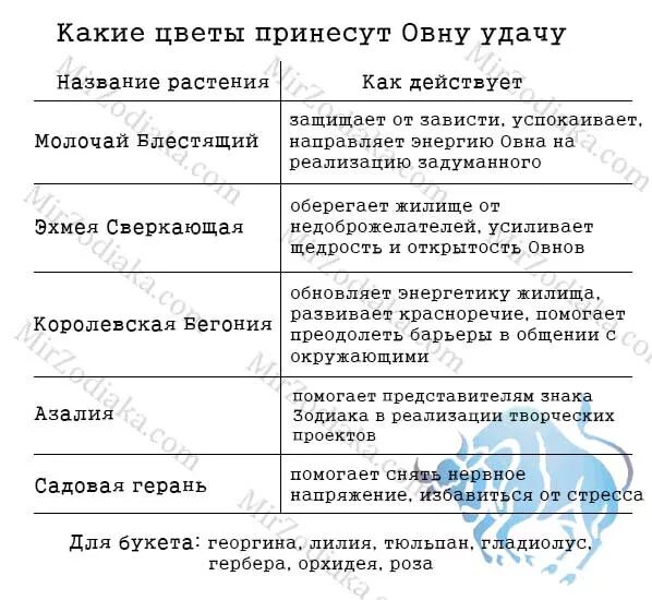 комнатные растения для знаков зодиака. овен цветок по гороскопу. мой цветок по знаку зодиака. йтетов по знаку зодиака. овен цветок по гороскопу.