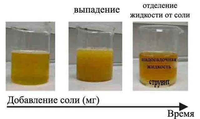 Моча при орви у ребенка. Соли в моче. моча соленая. нормальная и мутная моча. осадок в моче.