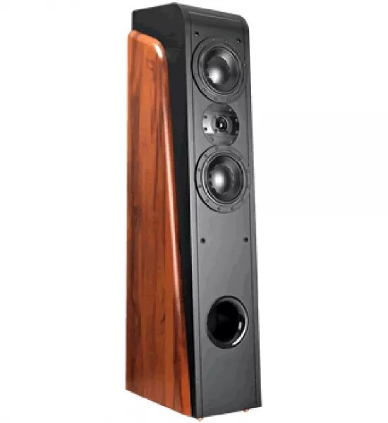 Swan d300. Swans f1 front акустика. swans 2.6f speakers. swans diva. swans diva отзывы.
