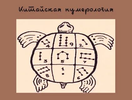Математика черепаха