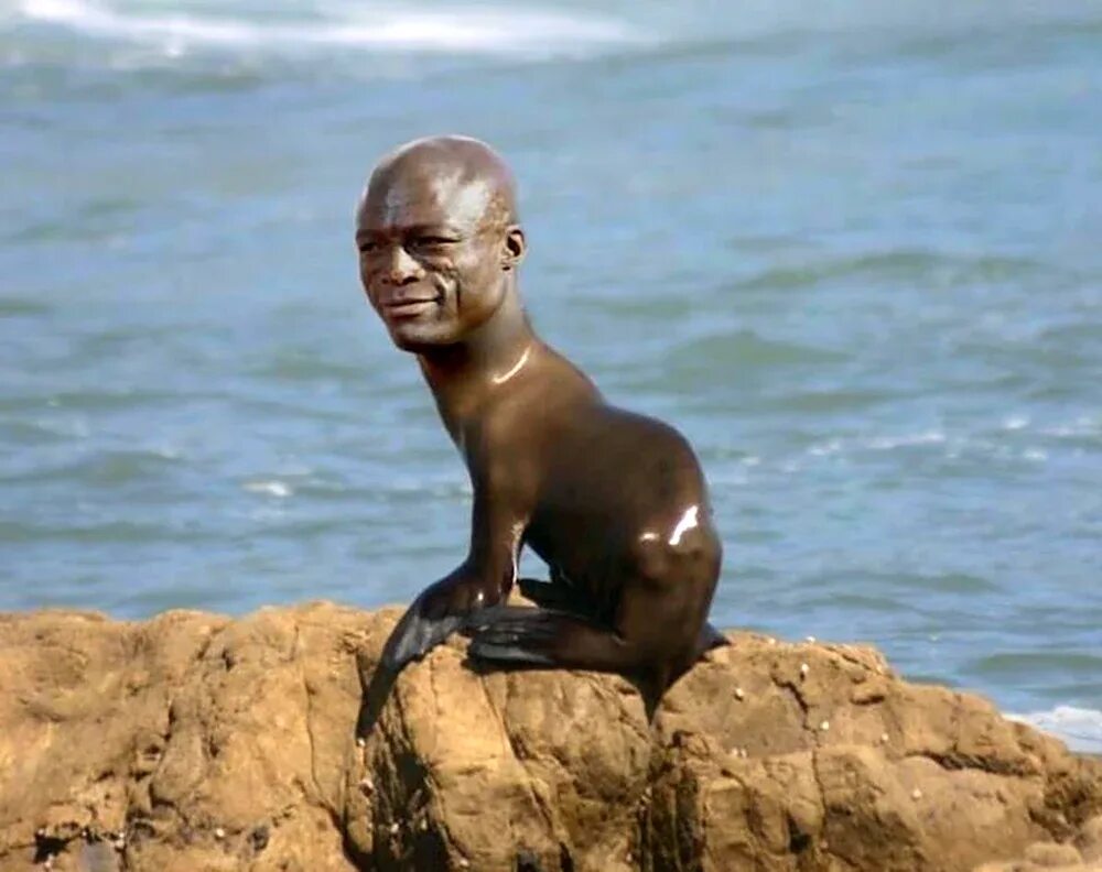 Кот в бандане. Кот нигер. Кот нигер. Кот негр. Кот нигер.