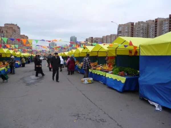 Региональная ярмарка, Профсоюзная вл. 41, м. Новые Черемушки район Черемушки / Ж