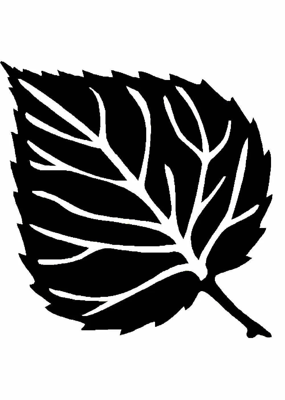 Шаблоны листьев березовый. Трафареты &quot;листья&quot;. берёза листья. силуэты листьев деревьев. силуэт осенних листьев.