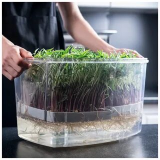 Горшки для микрозелени