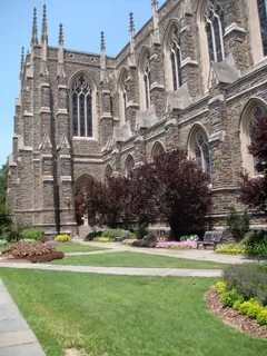 Duke university